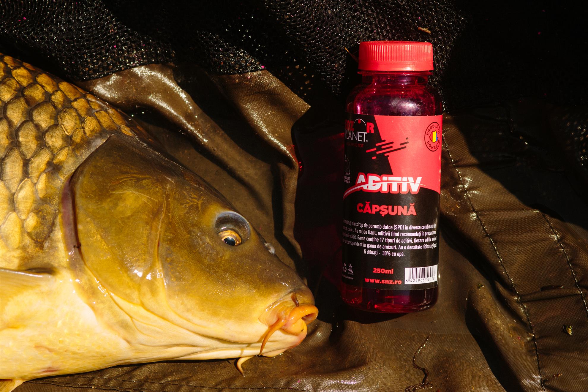 SNZ 2017 - senzor-pe-balta---028.jpg